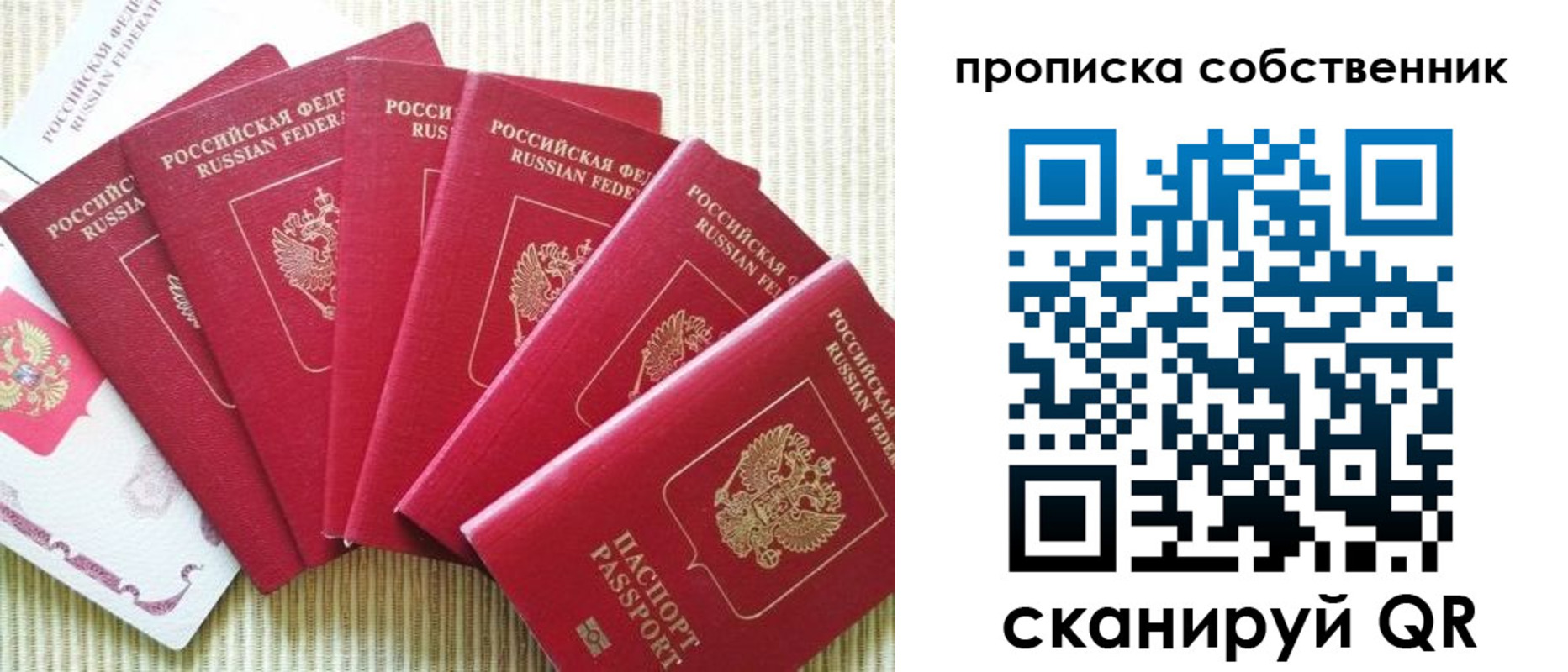 прописка в Вологде
